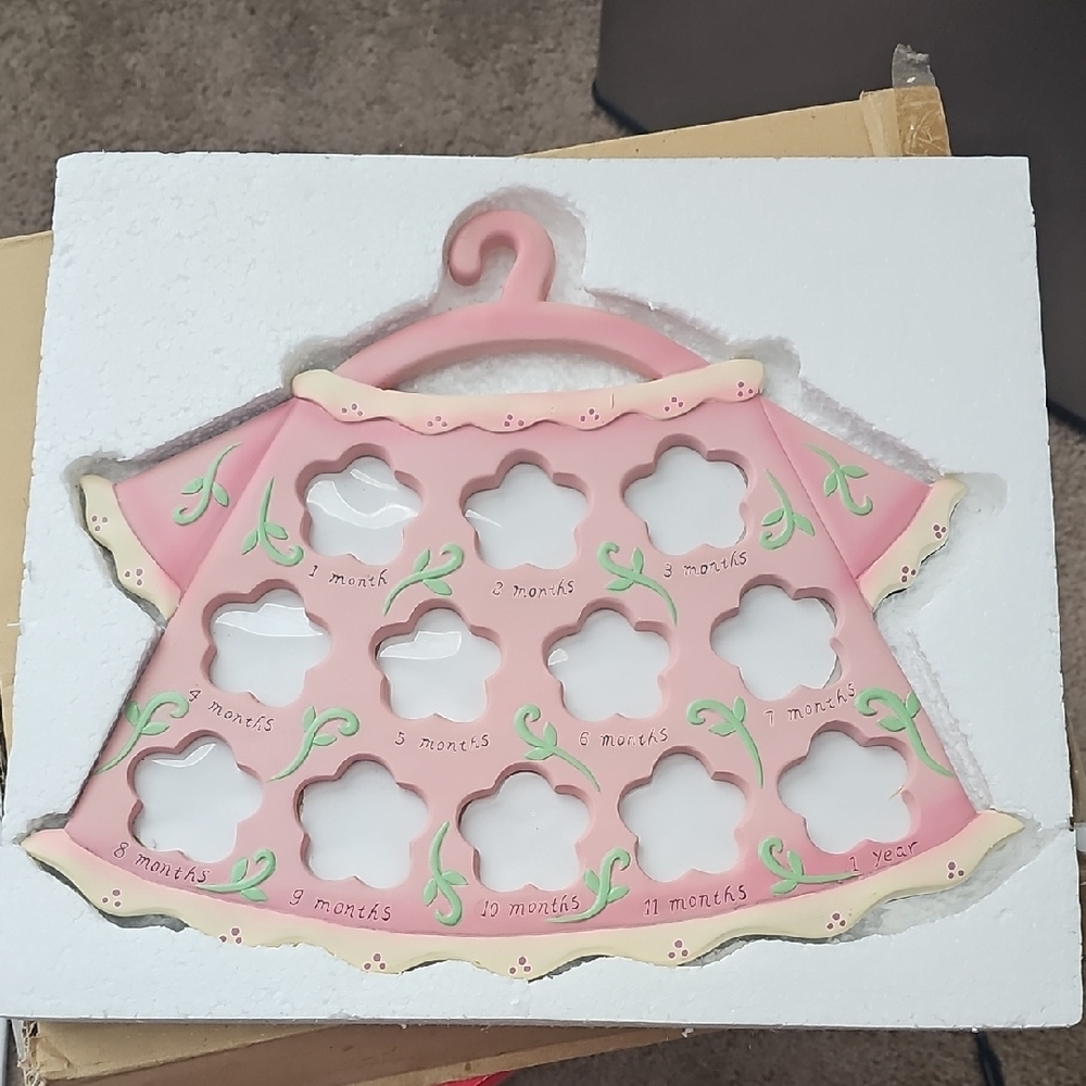 Pink Baby Milestone Dress Frame